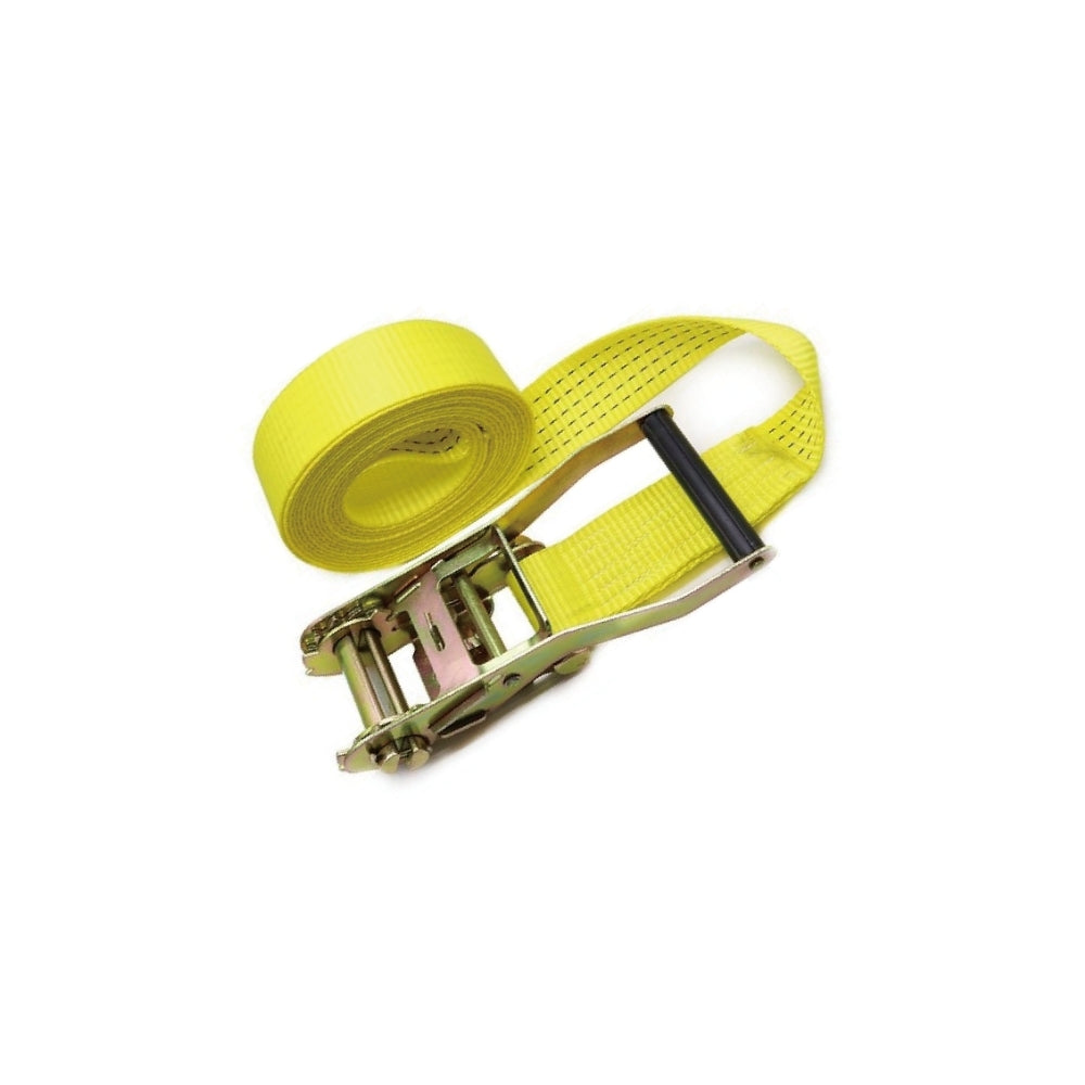 RT01C-310W6 Heavy Duty Ratchet Straps 10m- 3000kgs Breaking Strength Tie Downs Ratchet Straps with Double Wire J Hooks for Truck and Trailer(Middle East & Russian Market)