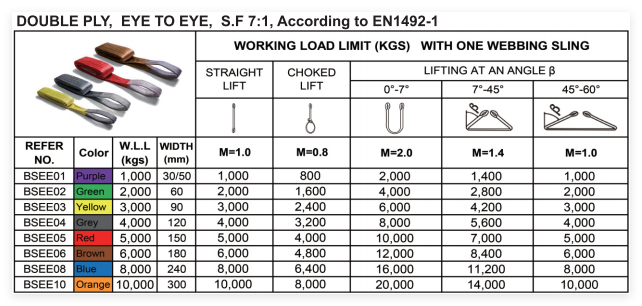 Customizable-Lift Sling Straps, 2 Ply Polyester Rigging Straps, Flat Eye-Eye Web Sling for Hoist, Tree Stumps, Heavy Duty Cargo（For Europe）